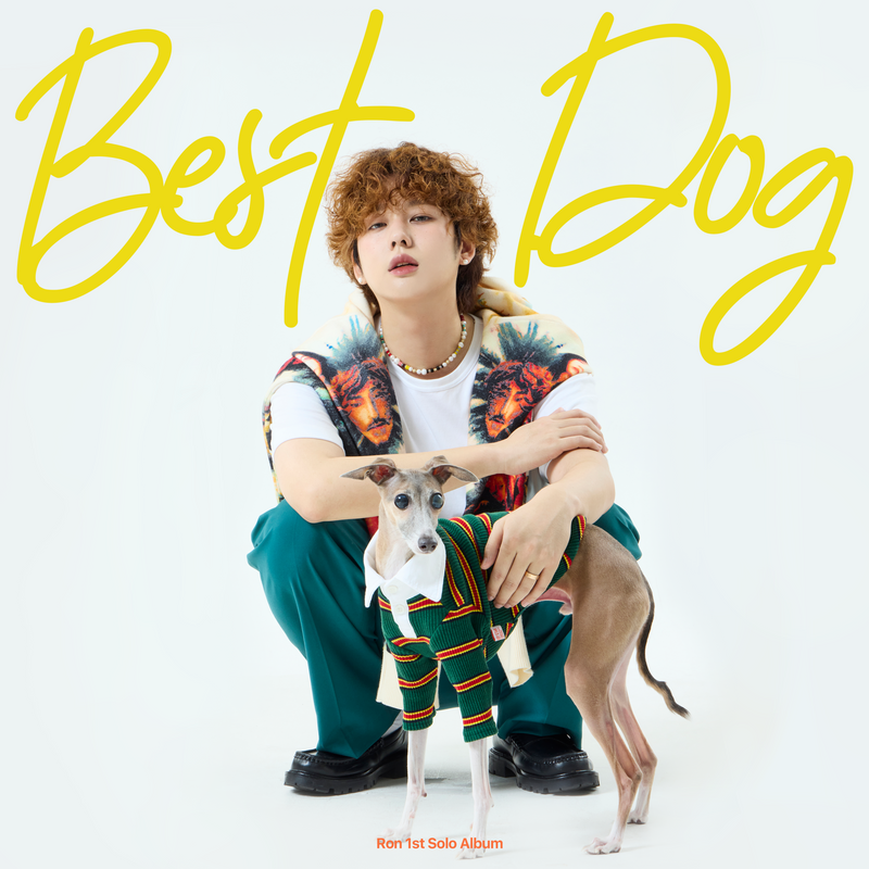 BEST DOG album art